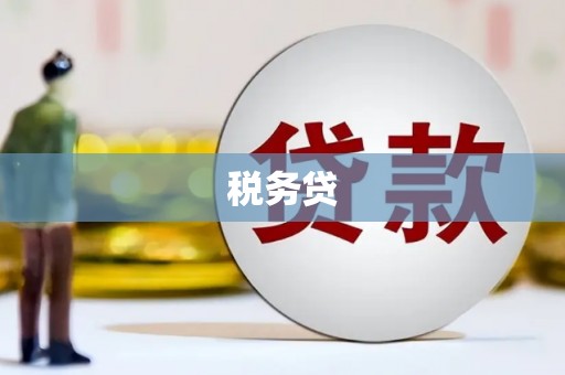 南通税务贷
