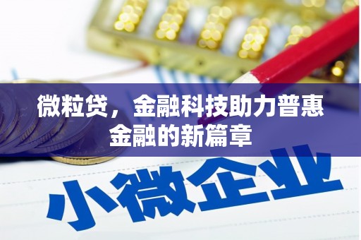南通微粒贷，金融科技助力普惠金融的新篇章