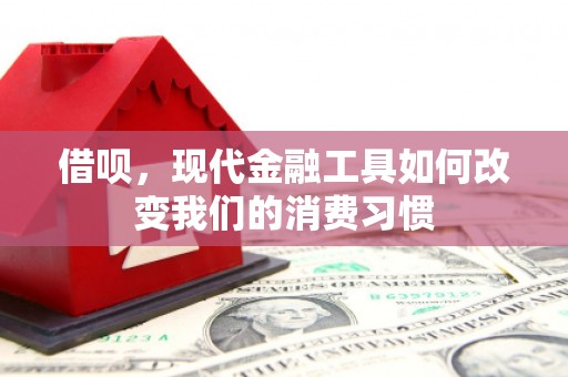 南通借呗，现代金融工具如何改变我们的消费习惯