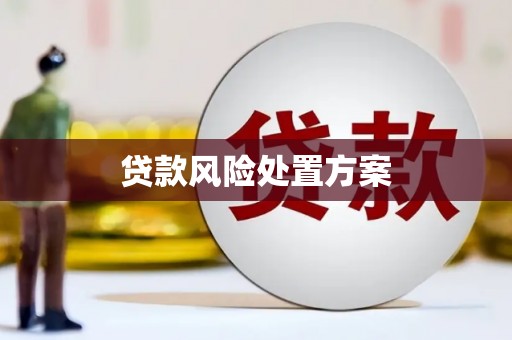南通贷款风险处置方案