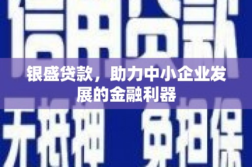 南通银盛贷款，助力中小企业发展的金融利器