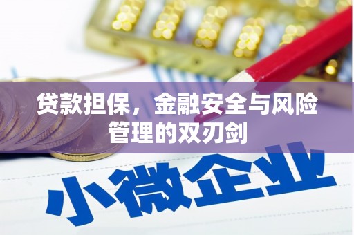 南通贷款担保，金融安全与风险管理的双刃剑
