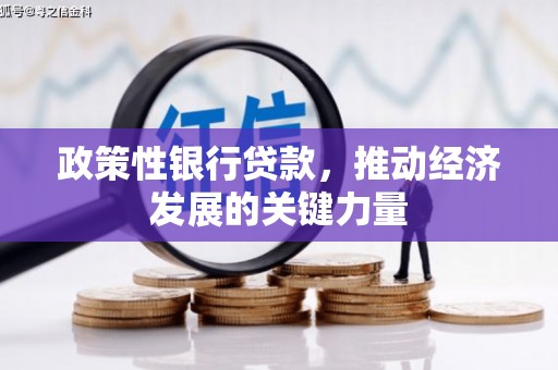 南通政策性银行贷款，推动经济发展的关键力量