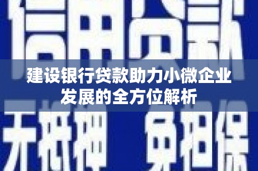 南通建设银行贷款助力小微企业发展的全方位解析