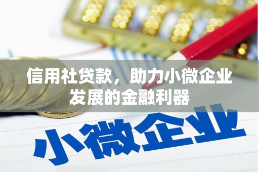 南通信用社贷款，助力小微企业发展的金融利器