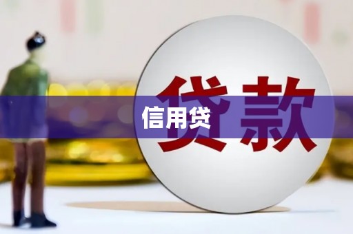 南通信用贷