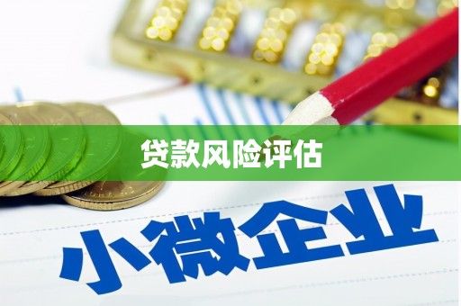 南通贷款风险评估